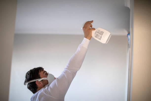Best Toxic Mold Removal  in Spring Lake, NC