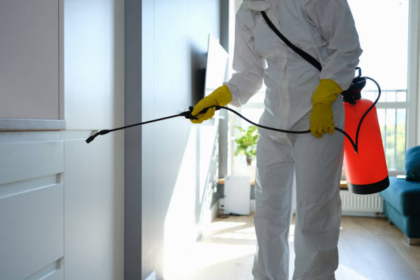 Best Mold Testing  in Spring Lake, NC