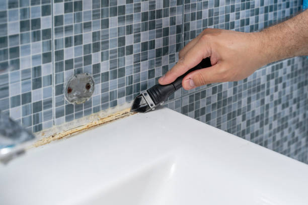 Best Fast Mold Removal  in Spring Lake, NC