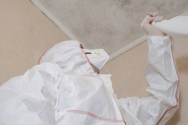 Professional Mold Removal in Spring Lake, NC