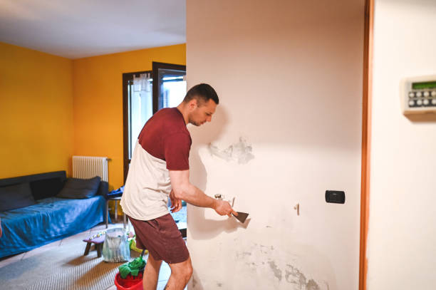 Best Office Mold Removal Services  in Spring Lake, NC